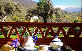 Rural Hosteria Fontivieja Losar De La Vera